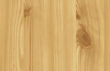 353 borovica hrčová